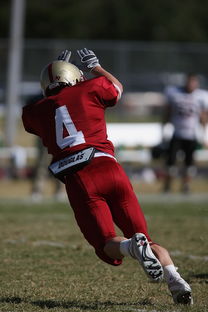 AYX SPORTS-校园足球支持学生裁判项目拓展多元职业通路，普通高校足球专业学生裁判能力的培养